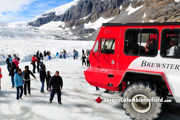 Canadian Rockies Columbia Icefield Tour & Glacier Skywalk