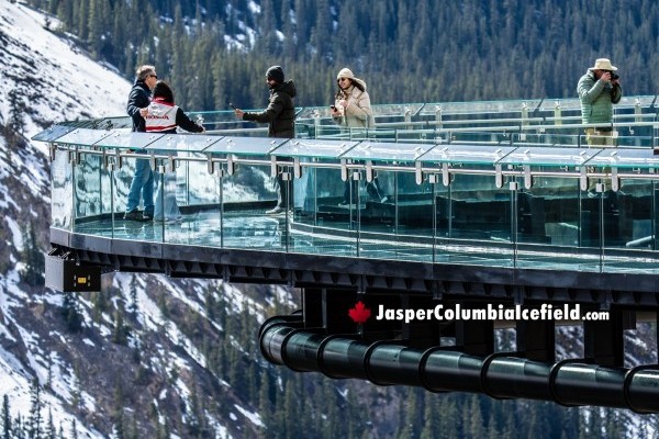 Canadian Rockies Columbia Icefield Tour & Glacier Skywalk Tour
