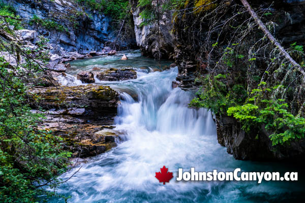 Hike Johnston Canyon