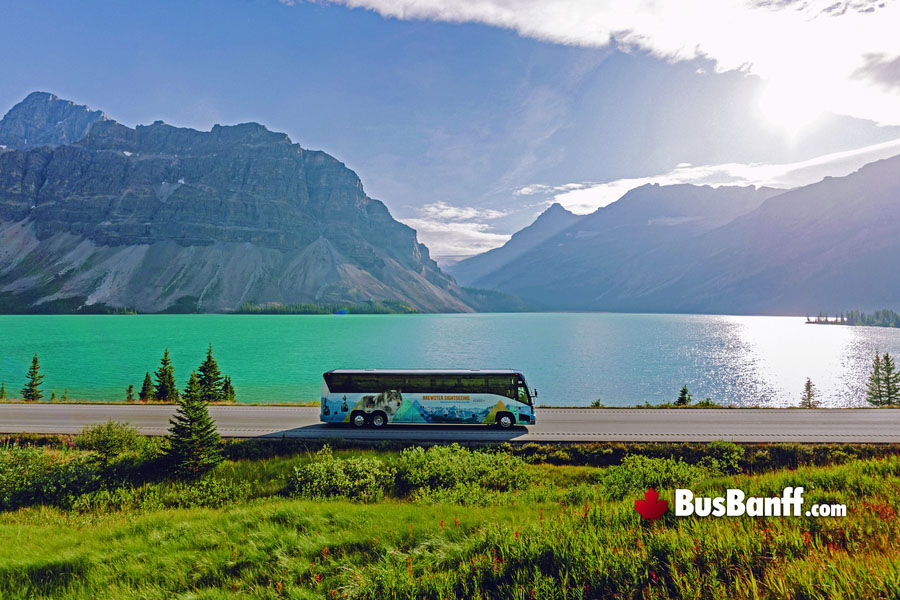 Bus from Calgary to Banff, Canmore, Lake Louise, Jasper and Canadian Rockies