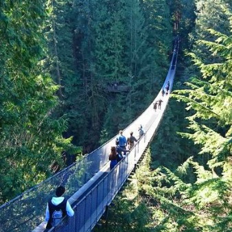 Vancouver Tour Including Capilano Suspension Bridge