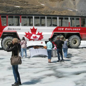 Columbia Icefield Tour including the Glacier Skywalk from Banff