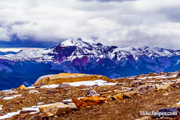 Whistlers Mountain View from Top Hike Jasper SkyTram