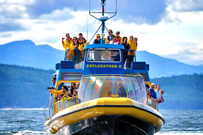 Canadian Rockies Whale Watching Tour from Vancouver